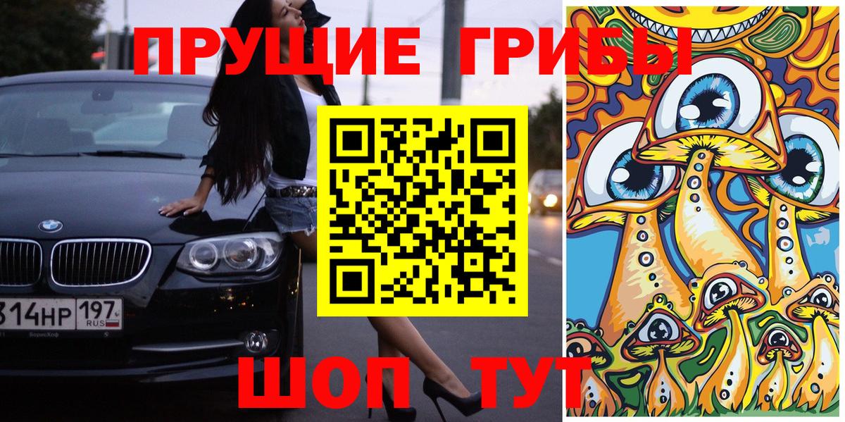 Елабуга  Галлюциногенные грибы Psilocybe  Вход с VPN  Псилоцибиновые грибы мицелий 