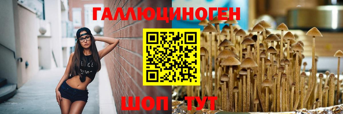 Галлюциногенные грибы MAGIC MUSHROOMS Елабуга
